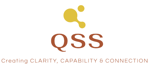 QLDS-logo